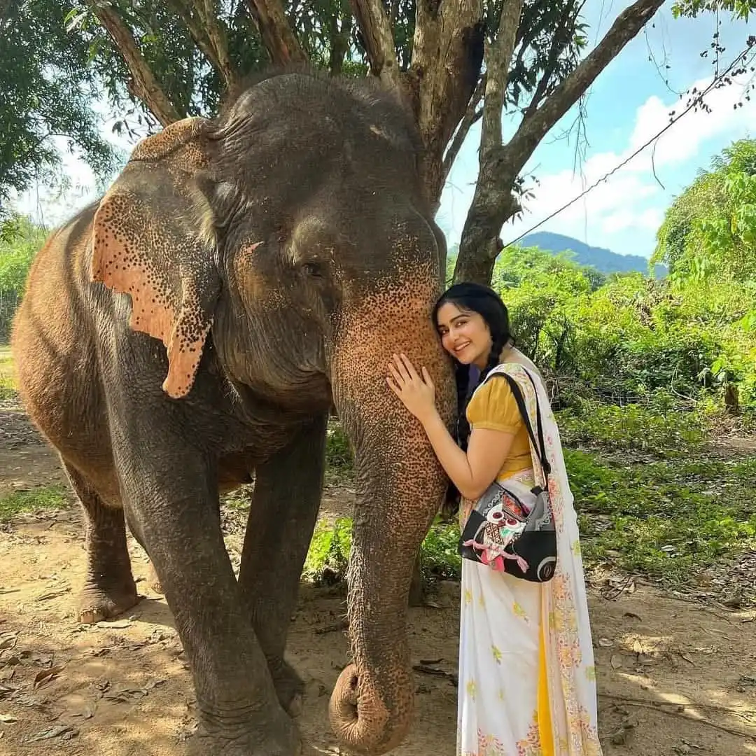 Adah Sharma Stuns Fans with Her Unique Ganesh Chaturthi Celebration