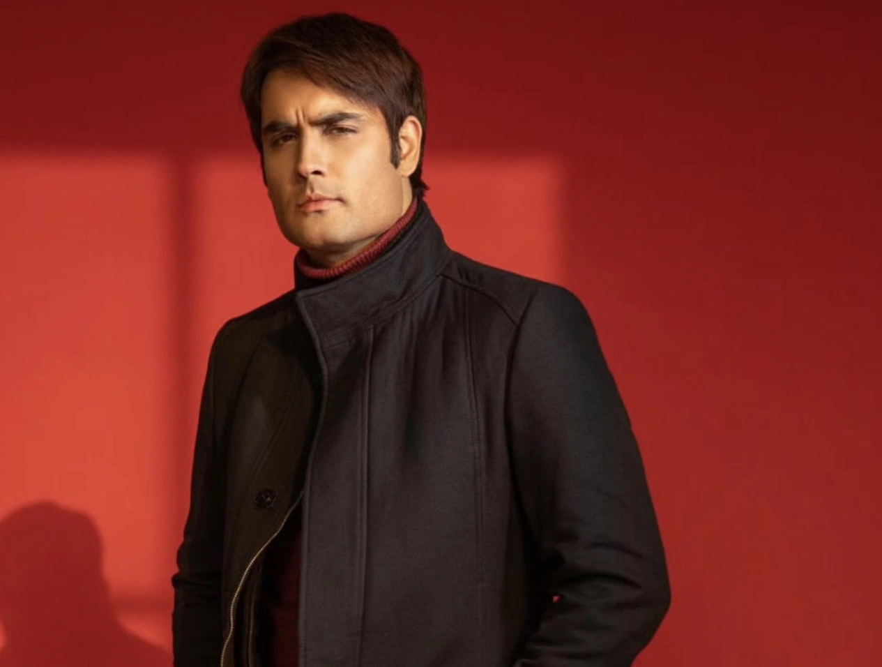 5 reasons we are thrilled to see Vivian Dsena in Bigg Boss