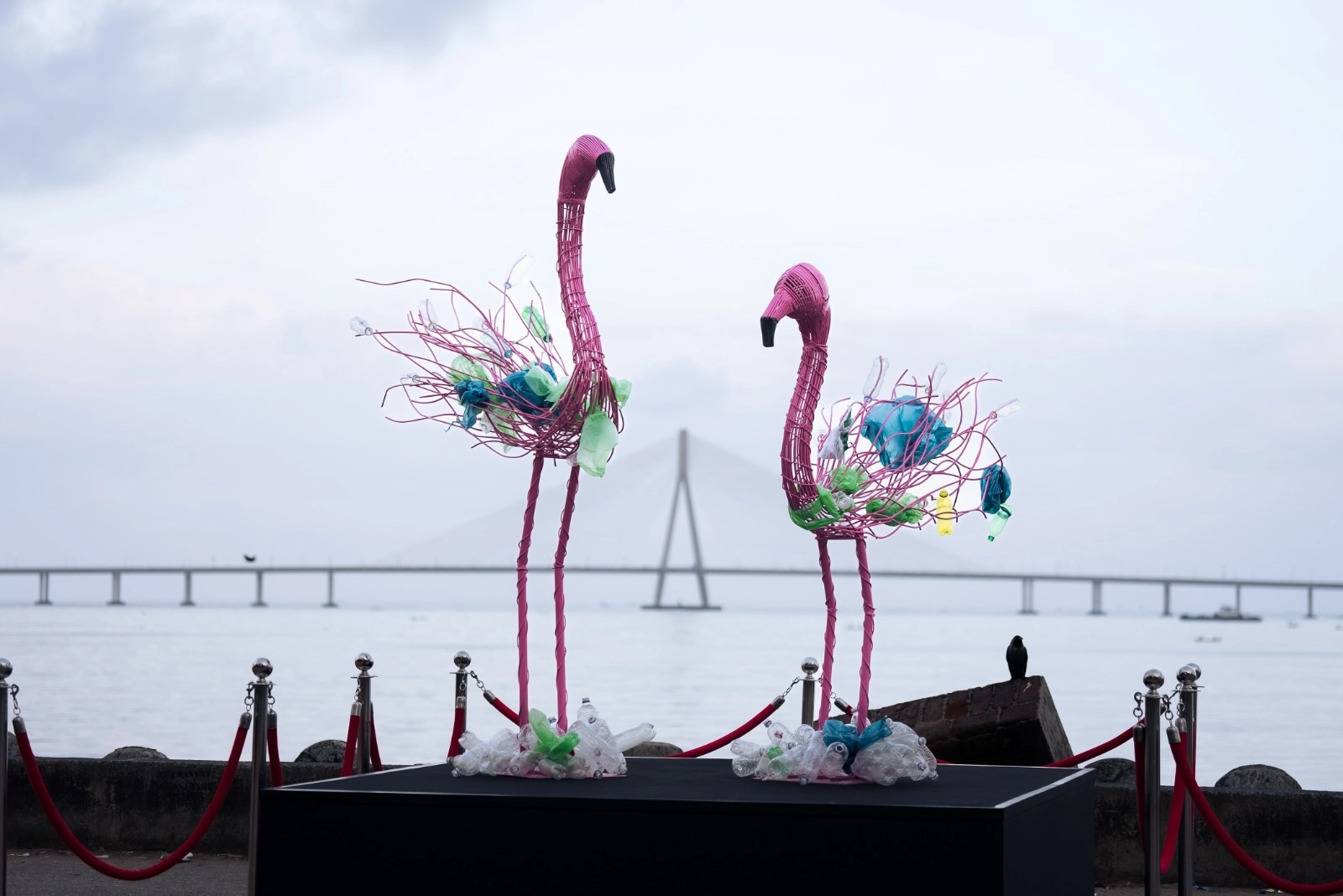 Vantara and Anant Bhai Ambani Launch Wildlife Installations in Mumbai, Calling for Action on Environmental Degradation