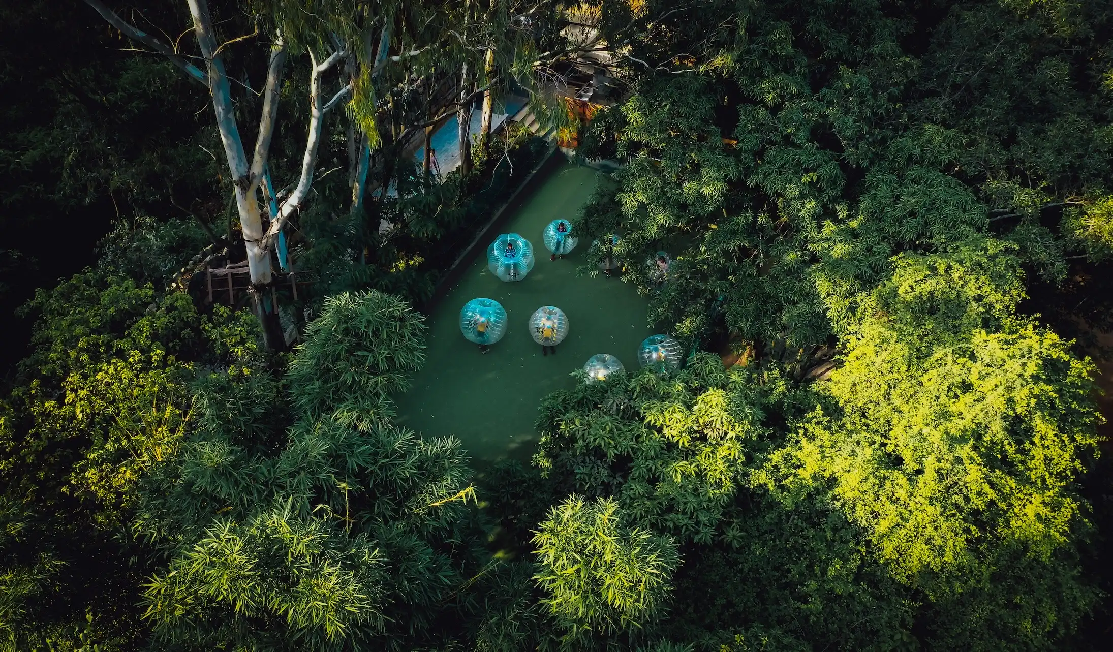 Area 83 to Host a Spectacular New Year’s Eve Celebration