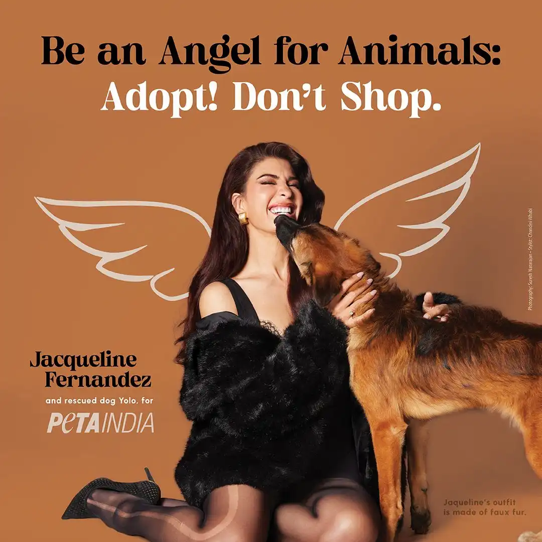 Jacqueline Fernandez Is an Angel for Animals in New PETA India Adoption Campaign