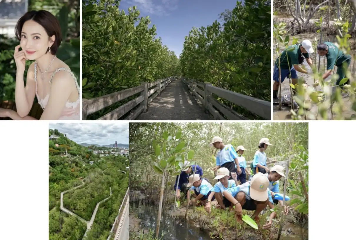 Natapohn Phornprapha; the mangrove planting activity at Krailart Niwate Mangrove Preservation and Ecosystem Project