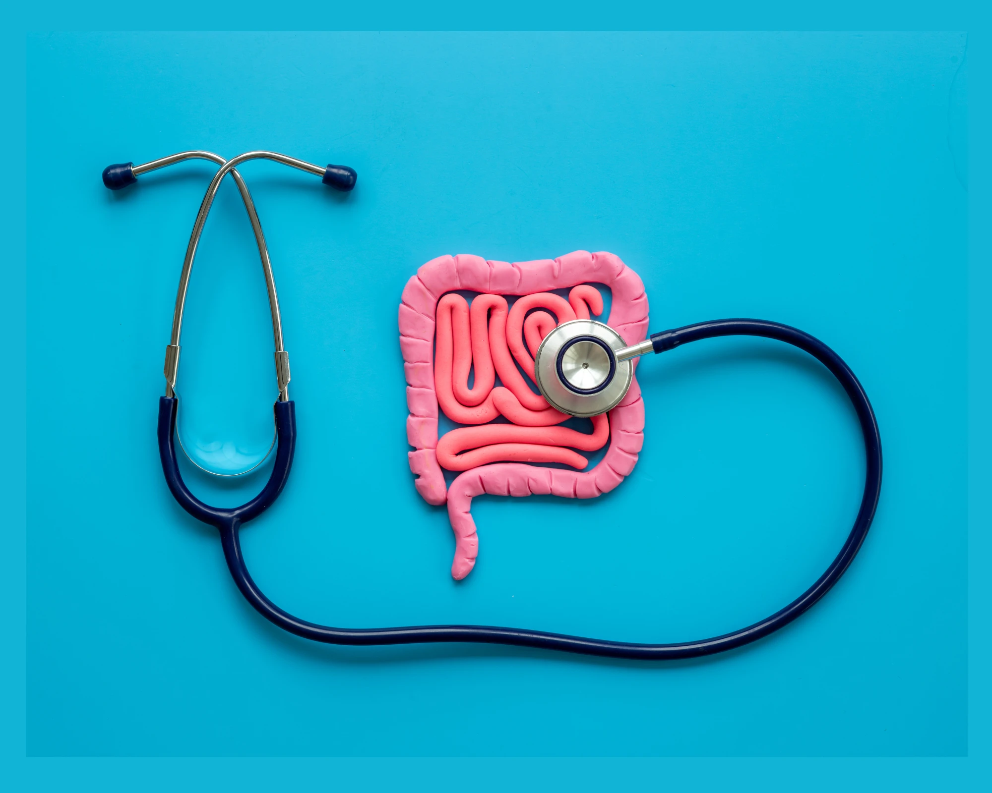 Gut Inflammation and Arterial Health