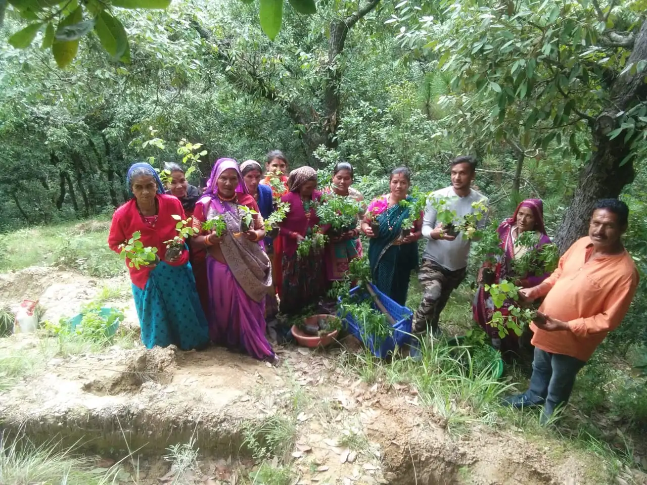 International Mountain Day: Afforestation initiatives repair the Himalayan ecosystem