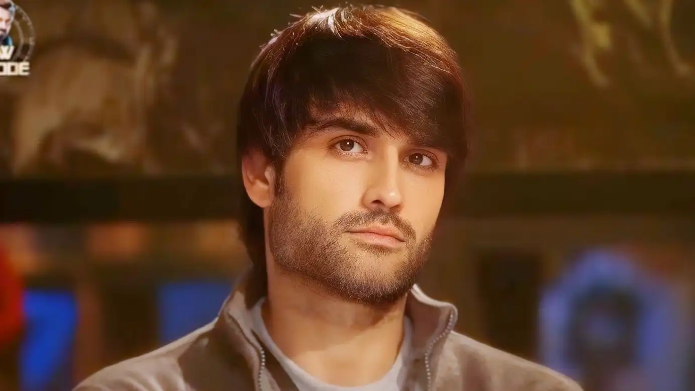 Vivian Dsena Steps Up to Protect Avinash Mishra During Heated Argument in Bigg Boss House