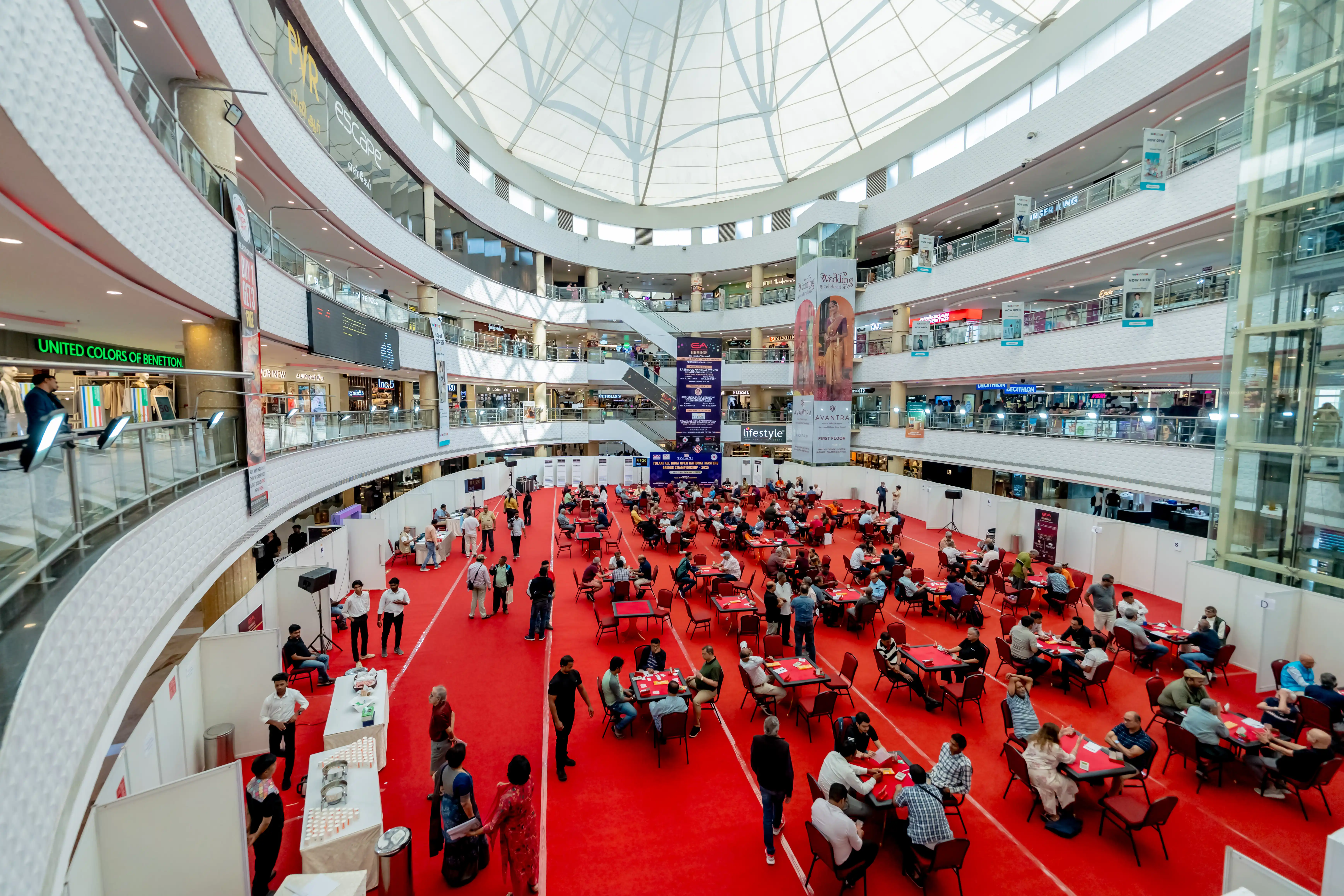 Bridge National Championships ends with a trump!