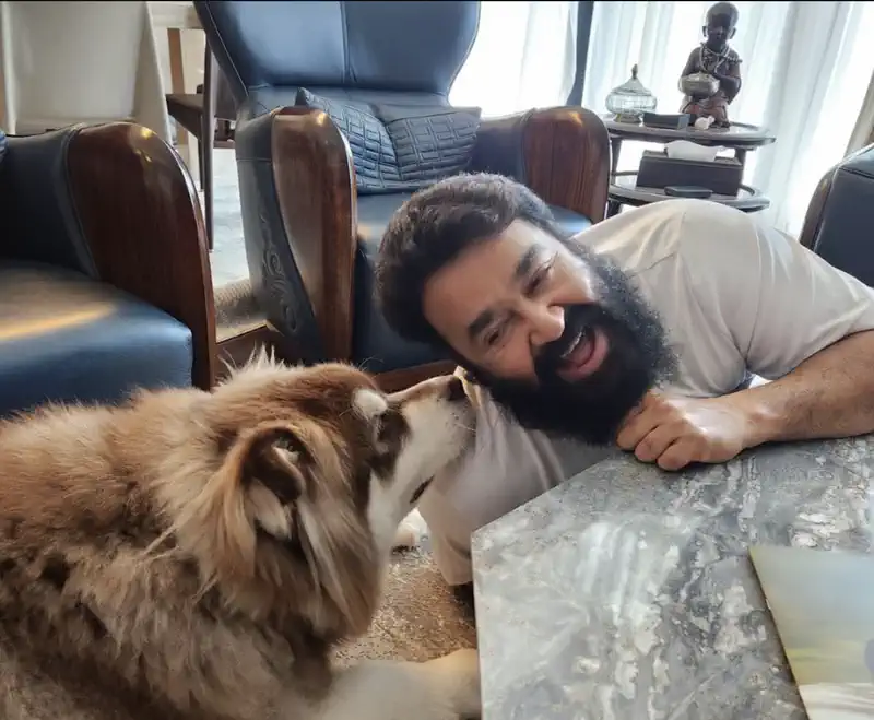  10 Must-Watch Mohanlal Movies to Celebrate His Birthday