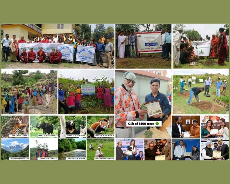 20 Million Trees Set to Expand India's Green Cover and Absorb Over 400 Million Kgs of Carbon Annually