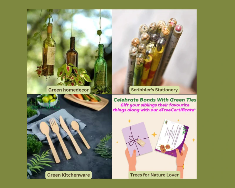 4 eco-friendly Rakshabandhan gift to make your sister's day