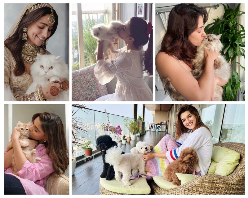 5 Bollywood actors Who Share an Adorable Bond with Their Pets