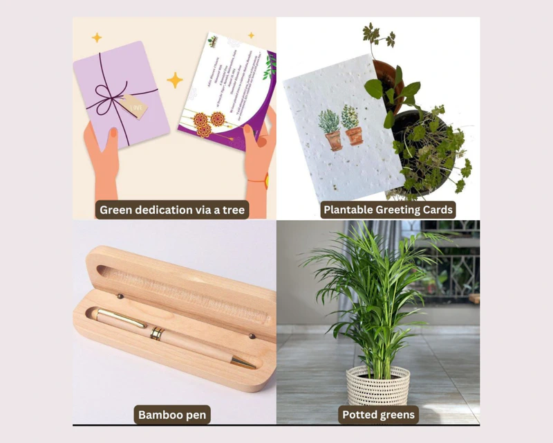 4 Thoughtful Green Gifts for Your Mentors