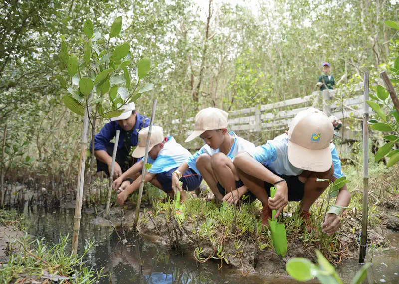Chiva-Som Hua Hin Celebrates International Day for the Conservation of the Mangrove Ecosystem 