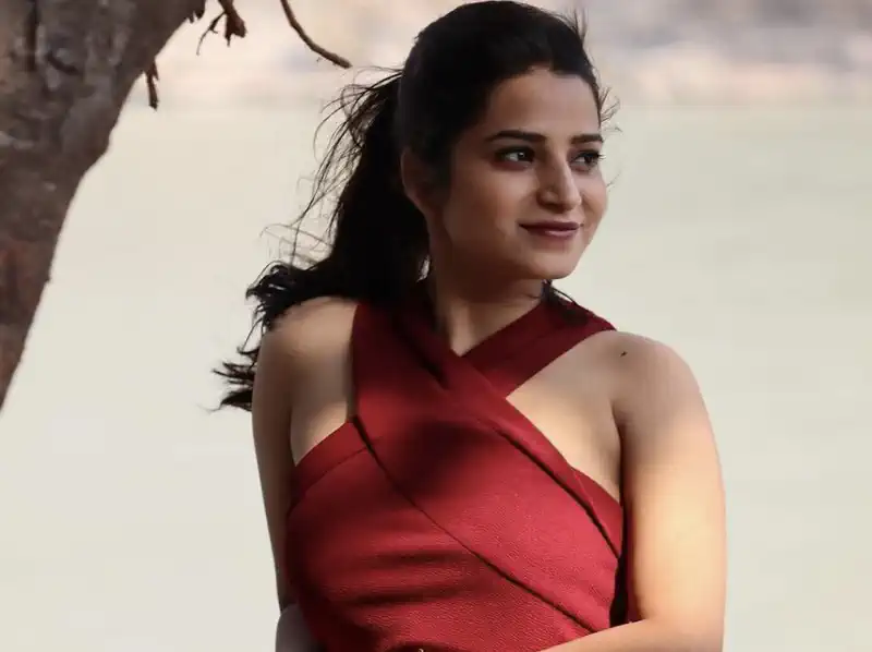 Hina Bajpai: Some people have an issue with being labeled as TV actors, but I don't