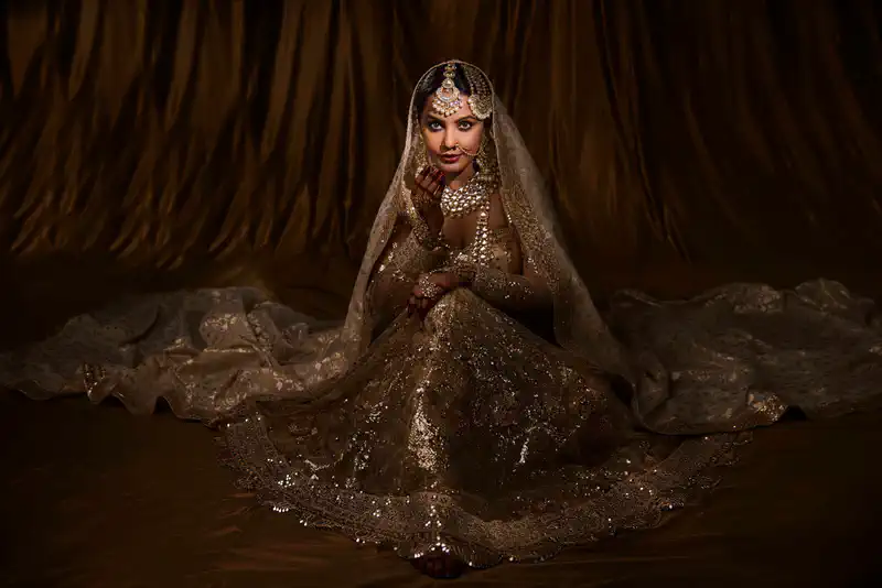 How did Neetu Chandra become the Indian Hollywood Star