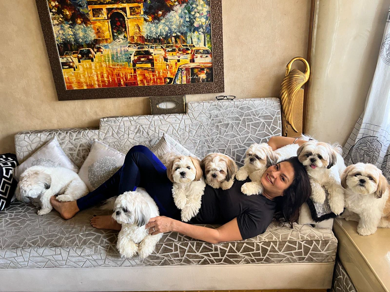  Sheeba’s dogs are here to steal your hearts 