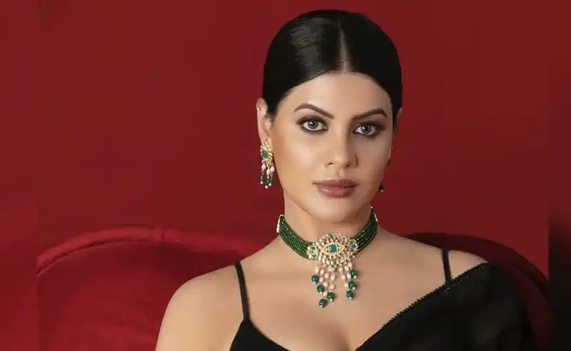 Sherleen Dutt: Participating in the reality show KINK was both amazing and challenging