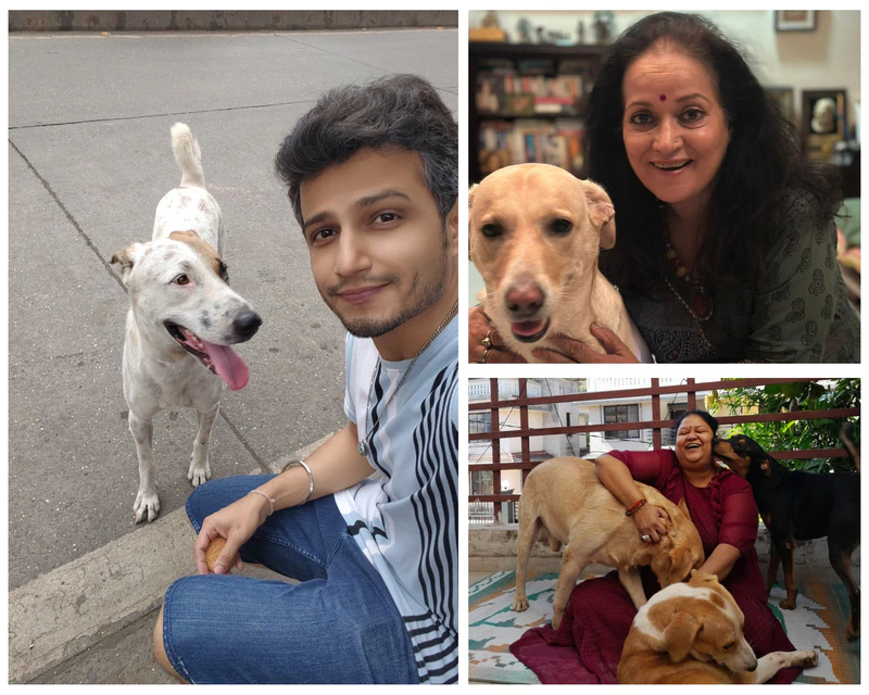 &TV actors celebrate their special bonds with rescued dogs!